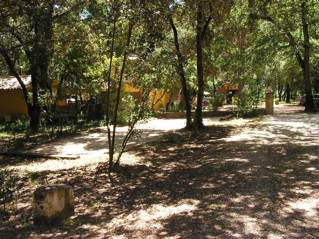 Le Mazet Des Cigales Villa Vers-Pont-du-Gard Buitenkant foto