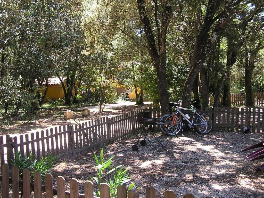 Le Mazet Des Cigales Villa Vers-Pont-du-Gard Buitenkant foto